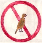 Medžioti paukščius draudžiama